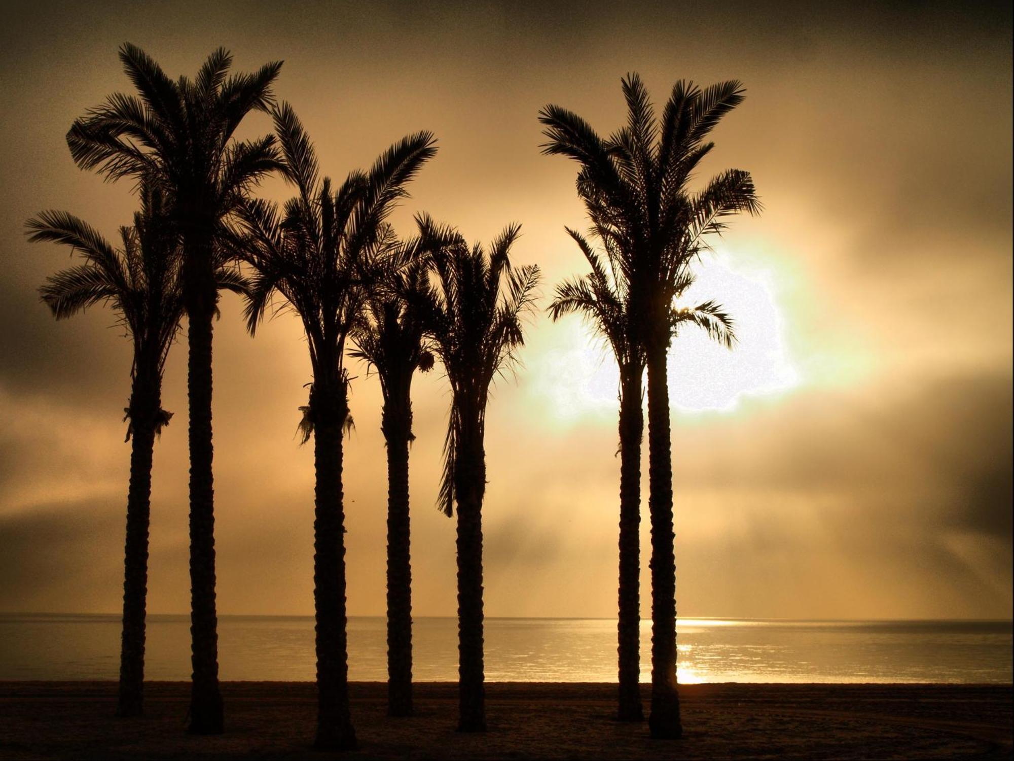Apartamentos Estrella De Mar روكيتاس ذي مار المظهر الخارجي الصورة